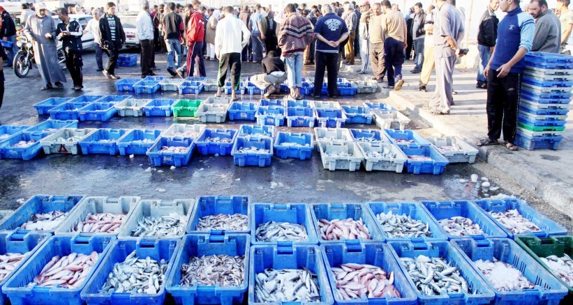 زيادة نسبة تلوث بحر غزة تهدد الثروة السمكية في غزة