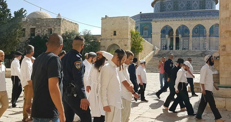 مستوطنون يقتحمون "الأقصى" بحراسة مشددة من قوات الاحتلال